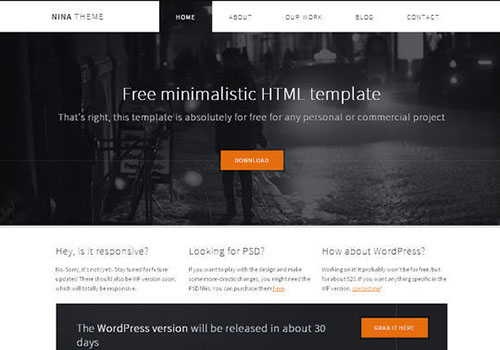 Nina HTML 5 theme
